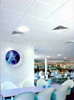Ceiling Image